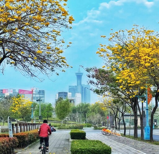 不讓廍子公園專美於前！台中東區隱藏版花海秘境 美景正當時