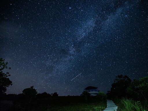 2025台東最美星空│浪漫音樂會、星空市集等你東漂來追星！