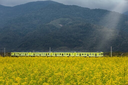 山嵐號4/19馳騁花東縱谷！嗅聞體驗、嚴選山巒珍味超吸睛！