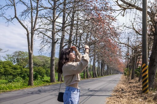 火紅花海來襲！彰化「埤頭木棉花道」盛開 美景美拍一次收！