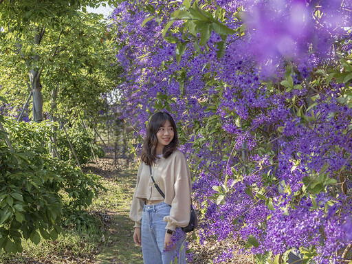 秒飛童話世界！芬園最夢幻庭園咖啡館 紫色隧道視覺震撼！