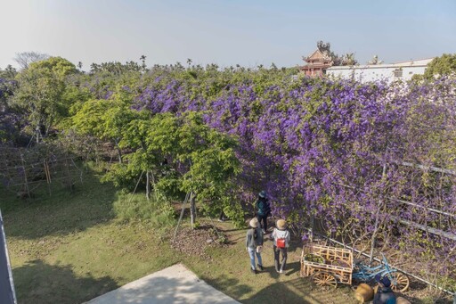 秒飛童話世界！芬園最夢幻庭園咖啡館 紫色隧道視覺震撼！