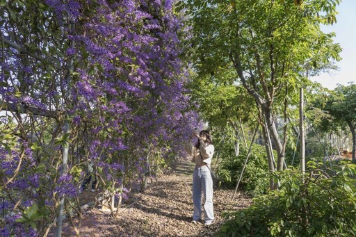 秒飛童話世界！芬園最夢幻庭園咖啡館 紫色隧道視覺震撼！