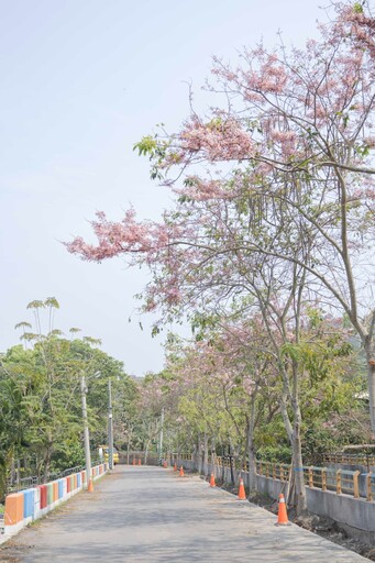 2025二水花旗木懶人包!浪漫粉色鐵道、公園、河岸一次玩遍