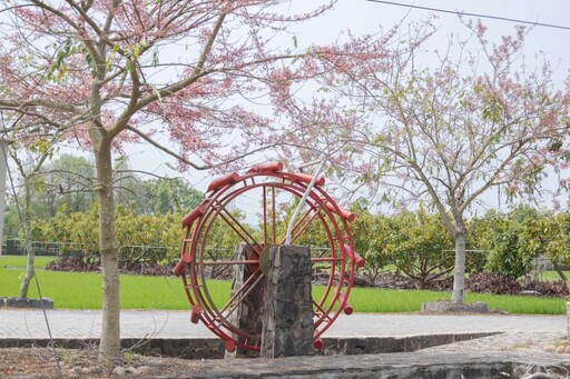 2025二水花旗木懶人包!浪漫粉色鐵道、公園、河岸一次玩遍
