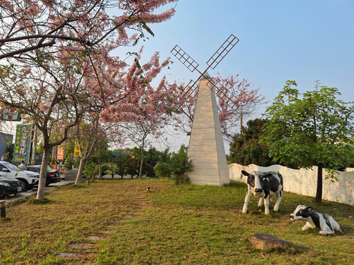 台南竟藏「花旗木7-11」!林鳳營門市浪漫變身 春季限定奇景