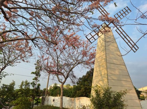 台南竟藏「花旗木7-11」!林鳳營門市浪漫變身 春季限定奇景