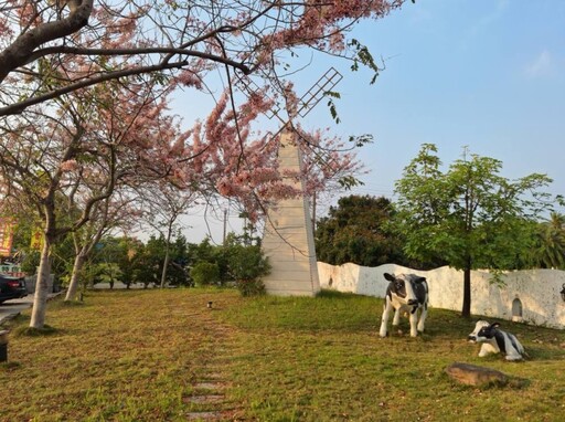 台南竟藏「花旗木7-11」!林鳳營門市浪漫變身 春季限定奇景