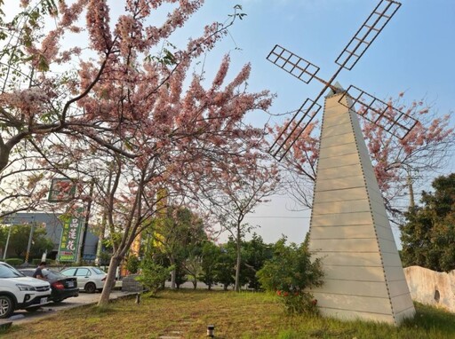 台南竟藏「花旗木7-11」!林鳳營門市浪漫變身 春季限定奇景