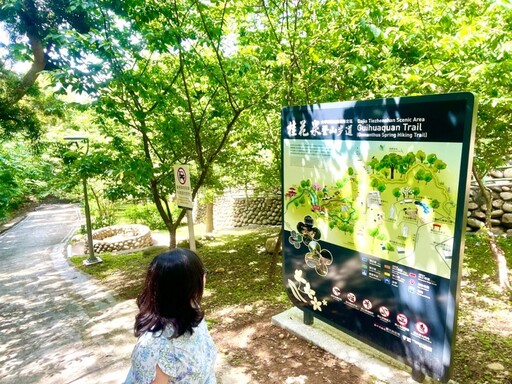 大甲限定花季來了!鐵砧山桂花泉步道4大主題花路一次走透透