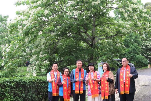 賞桐花、嚐異國風味！苗栗「伯公仔桐花嘉年華」隆重登場！