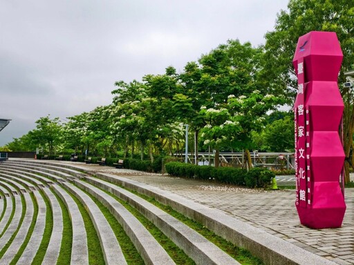 苗栗賞桐必訪一站!好客公園桐花步道美炸 雪白花海落英繽紛