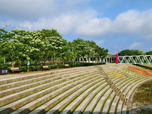 苗栗賞桐必訪一站!好客公園桐花步道美炸 雪白花海落英繽紛