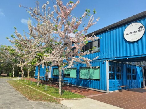 不只有玥園!玉井隱藏版粉色花旗木 森林系咖啡廳成打卡熱點