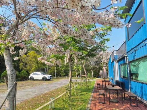 不只有玥園!玉井隱藏版粉色花旗木 森林系咖啡廳成打卡熱點
