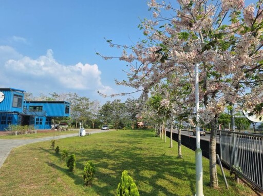 不只有玥園!玉井隱藏版粉色花旗木 森林系咖啡廳成打卡熱點