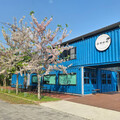 不只有玥園！玉井隱藏版粉色花旗木 森林系咖啡廳成打卡熱點