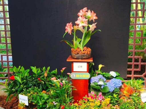 2025士林官邸孤挺花展│超過20款夢幻花種 季節限定浪漫秘境