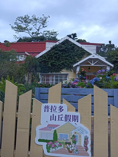 桃園繡球花民宿!夢幻普拉多山丘花海 讓人瞬間少女心噴發