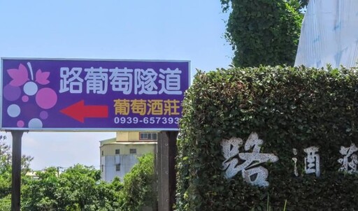 埔心絕美葡萄隧道!從果園到酒杯 隱藏版香甜秘境成打卡熱點