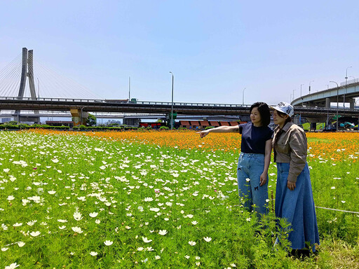 新北大都會公園花海大開!賞花免出遠門 捷運一到即拍好風景