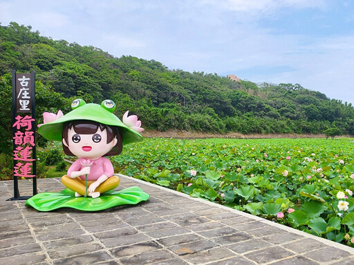 三芝牡丹蓮綻放中!北台灣浪漫粉色祕境 山豬堀牡丹蓮盛開
