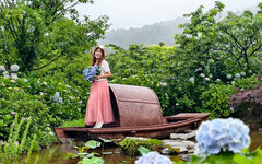 端午就衝竹子湖！仿古烏篷船x繡球花海 「花與樹」美翻今夏