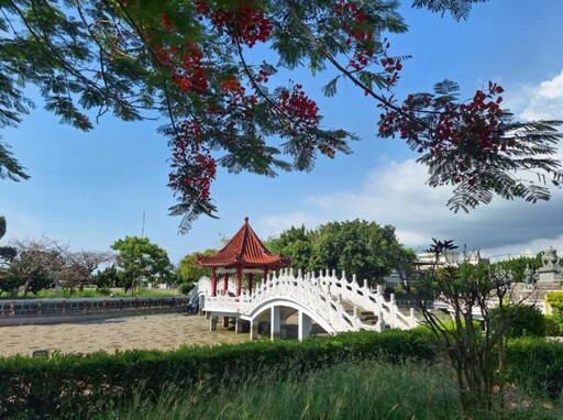 鳳凰花開城隍前!中寮安溪廟宇風景美如畫 紅花入鏡白橋入詩