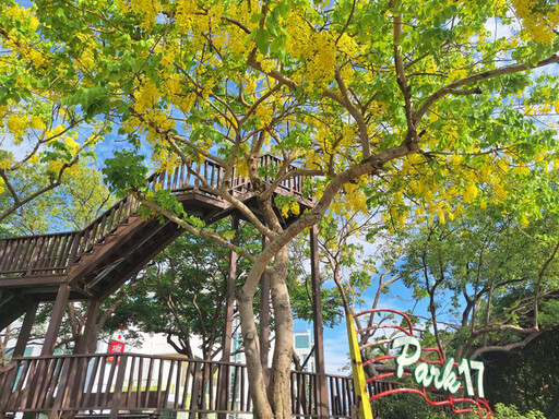台南金黃花雨盛宴登場!南科Park17商場阿勃勒木棧如詩如畫