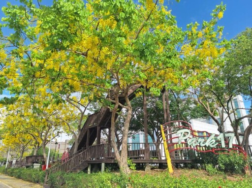 台南金黃花雨盛宴登場!南科Park17商場阿勃勒木棧如詩如畫