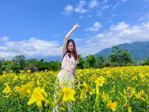 花蓮免門票賞花秘境!平地金針花海 夏日療癒風景閃耀登場!