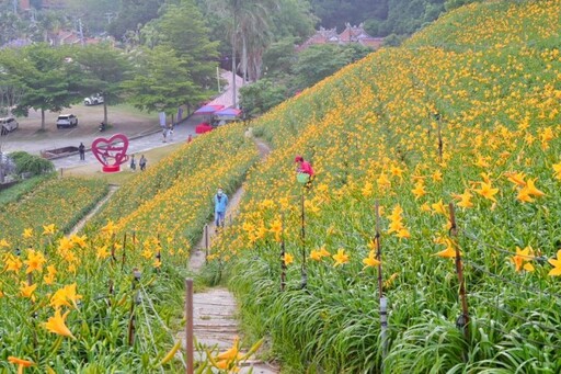 2025金針花季全台巡禮!八大人氣景點一次打包 追花客必收!