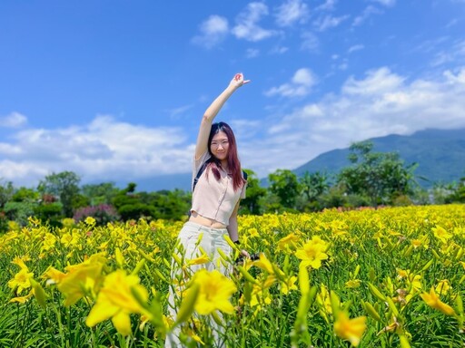 2025金針花季全台巡禮!八大人氣景點一次打包 追花客必收!