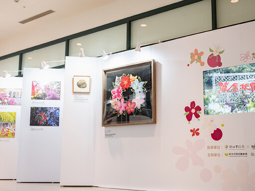新北市府化身花藝長廊！2025萬金杜鵑攝影展開放參觀！