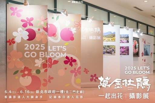 新北市府化身花藝長廊！2025萬金杜鵑攝影展開放參觀！