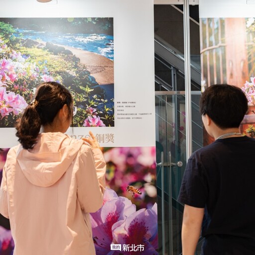 新北市府化身花藝長廊！2025萬金杜鵑攝影展開放參觀！