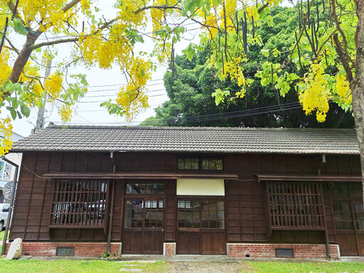 台鐵大林站阿勃勒盛開!日式宿舍區初夏金黃浪潮來襲!