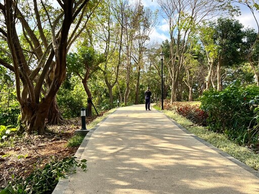 中和最Chill後山!森林系健身房「嘉穗公園」化身城市綠肺!