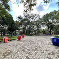 中和最Chill後山！森林系健身房「嘉穗公園」化身城市綠肺！
