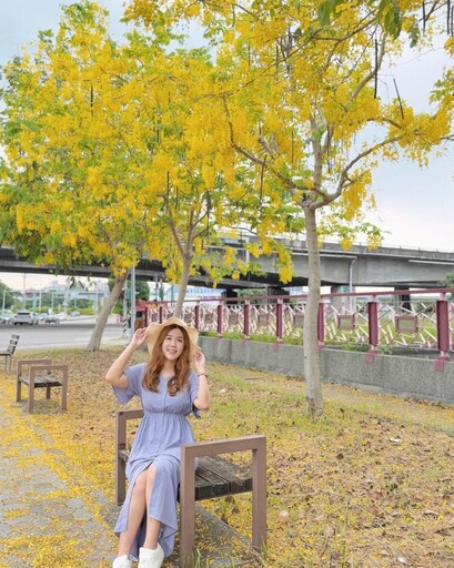 台中市區燦爛花雨!金色阿勃勒花海x城市街景隨手拍都好看!