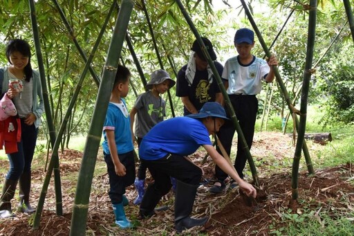 一起採筍趣!2025臺北綠竹筍季開跑 食農體驗親子活動首選
