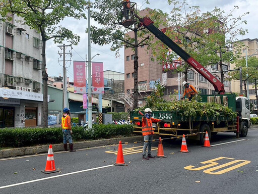 風雨前先出手！新北市全面啟動樹木修護計畫 防汛整備更安心