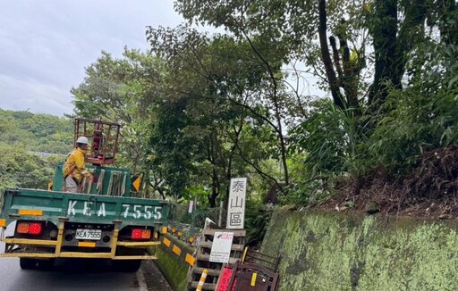 風雨前先出手!新北市全面啟動樹木修護計畫 防汛整備更安心