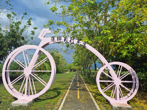 白河黃金花雨隧道│蓮鄉自行車道阿勃勒限定美景美拍必訪!