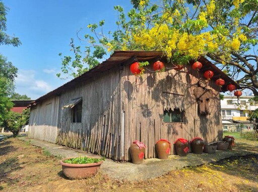 百年樹影與竹管老屋!台南大山宮竹管屋 古厝映金黃花海