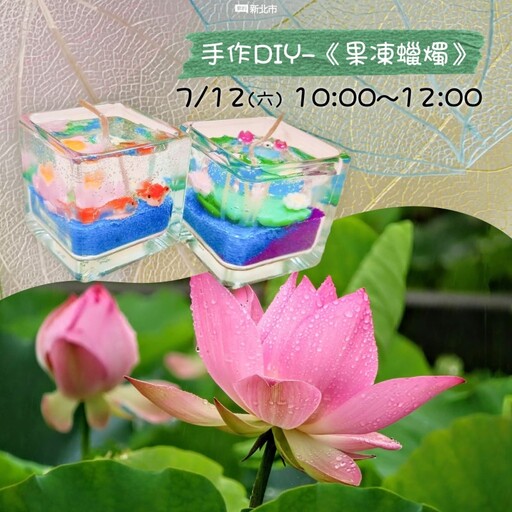 2025雙溪荷花季│7公頃綠田粉蓮海 邀你來場夏日田園派對!