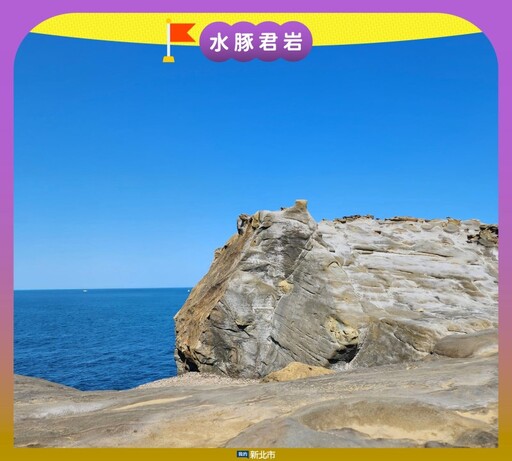 公車也能萌翻天!新北177瑞芳觀光公車帶你走訪黃金山海線