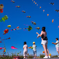 冬山風箏節嘉年華7月登場！兩天限定天空藝術 療癒感滿點！