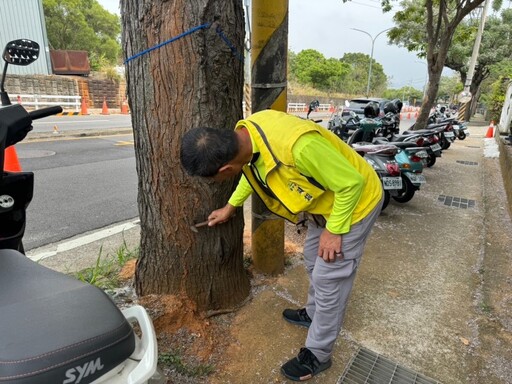 不讓樹倒成災!台中全力防治褐根病 啟動高效防病守護行動!