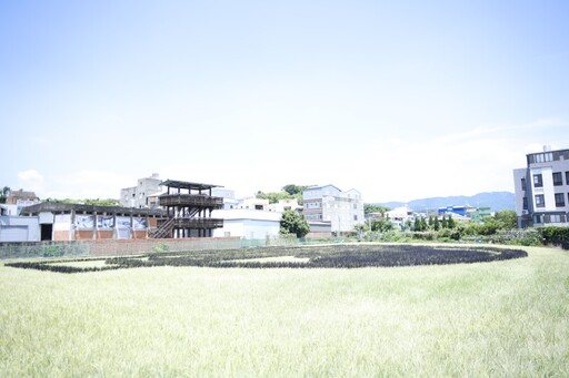 恐龍現身苗栗苑裡!全台最大侏羅紀稻田彩繪限時展出至7/13